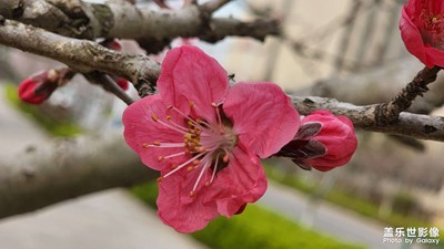 春暖花開