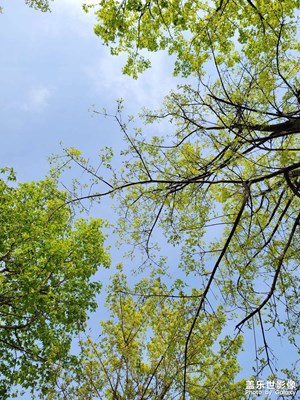 北海公園