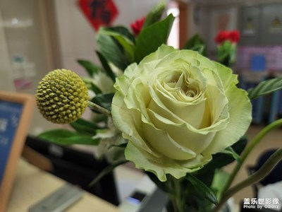 中午好大家我用S22手機記錄下來。