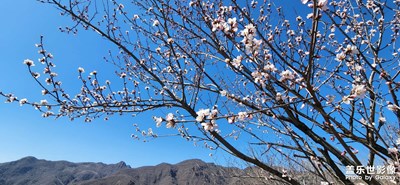 S22+拍照效果確實(shí)不錯(cuò)