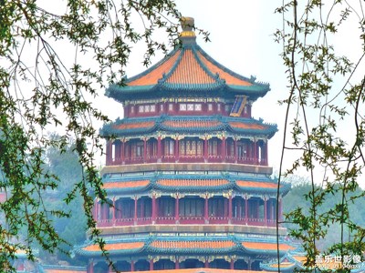 春意正濃