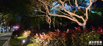 【日常隨拍】+夜間散步留住美好瞬間