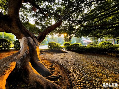 不說別的，就這相機(jī)我就很滿意