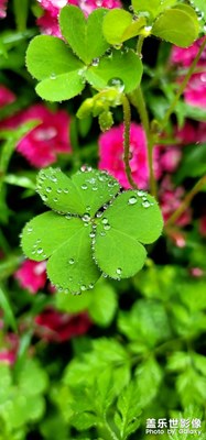 春雨過后。。。