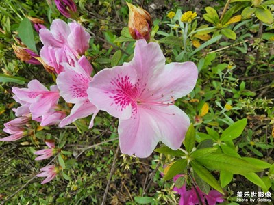 微觀世界和長(zhǎng)焦奇跡