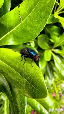 來一組22u  小片片