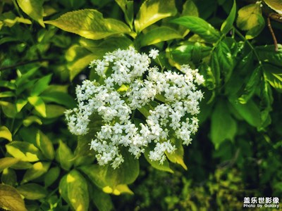 夏天要來(lái)了