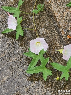 雨天拍攝