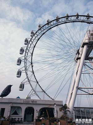 【夜城春】上海的夜是用來懷念的