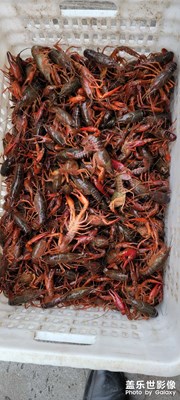 【四月物語】+春暖花開