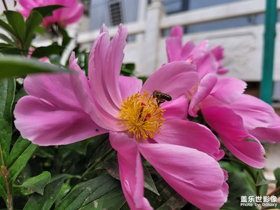 五一假期開啟田園模式
