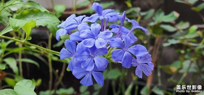 沙洲壹號的下午時光