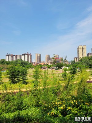 五一公園隨拍
