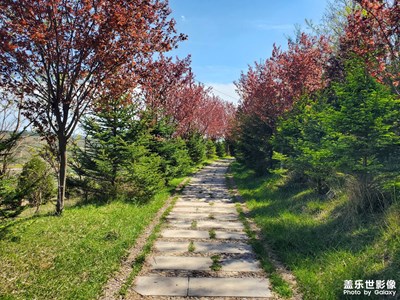 五一隨手拍之風(fēng)光無限好