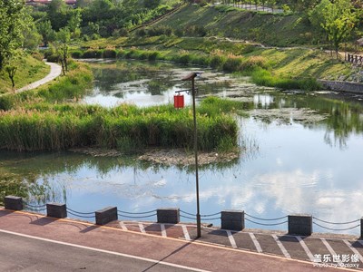 【時光正好】十郊游