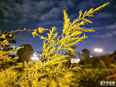 Galaxy S21 Ultra發(fā)現(xiàn)夜間美景