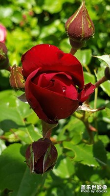 【碎片日常】+時光碎片