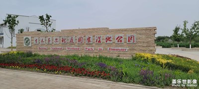 北庭都護府