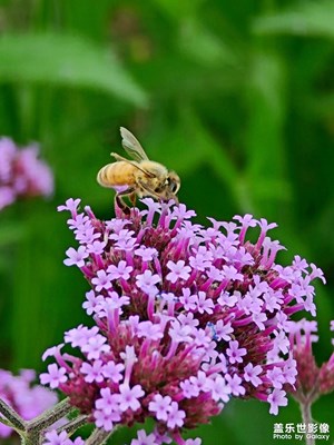 【當(dāng)下好時光】落日余暉下的隨記