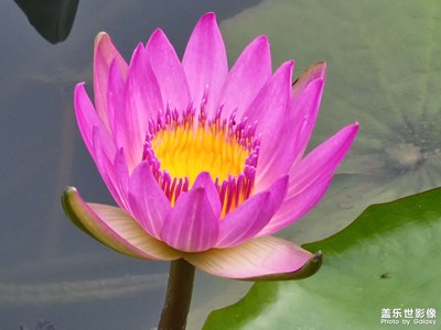 【當(dāng)下好時光】傍晚漫步時刻