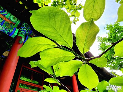 【當(dāng)下好時(shí)光】生活