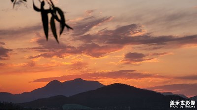 討論哪個(gè)是相機(jī)拍的哪個(gè)是手機(jī)拍的