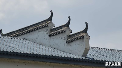 【不匆忙時(shí)刻】夏日隨拍