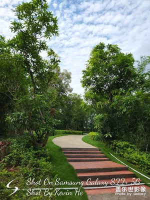公園隨拍（二）
