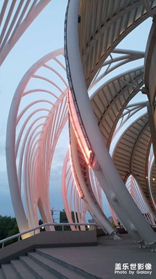 【我的夏天】夏日體育場