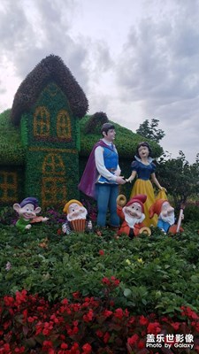 【多彩夏日】+仲夏夜之夢