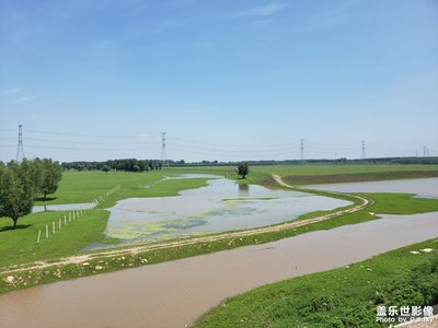 堵在了紅廟子橋拍幾張照片