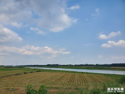 【我的夏天】愛(ài)生活，愛(ài)夏天