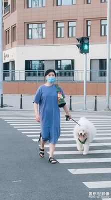 【我的夏天】+夏天隨拍