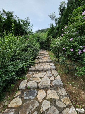 好久沒來，拍幾張照片露露臉