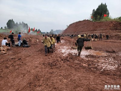 我的夏天，工作一天中暑休息了七天