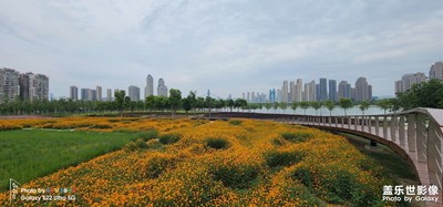 我的夏天 把夏天裝進鏡頭