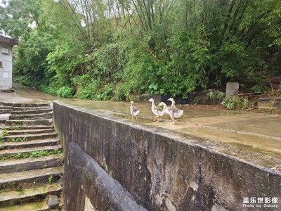 一些用Raw拍的圖片