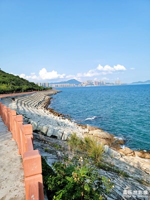 隨手一拍