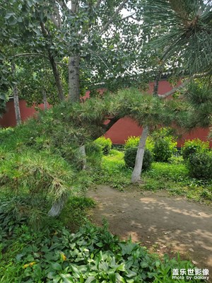 【我的夏天】夏日的清故宮