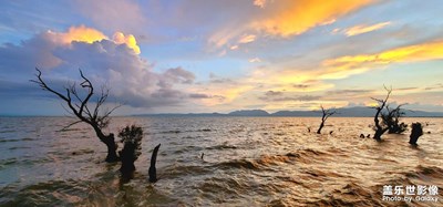 傍晚的濕地公園