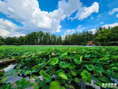 昆明翠湖公園
