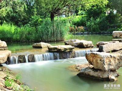 【夏日好時光】+濕地公園