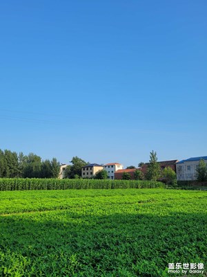 【夏日好時光】一起去乘涼
