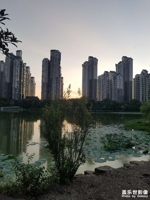 【夏日好時光】 樓臺倒影