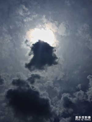 隨手拍，感覺(jué)還不錯(cuò)