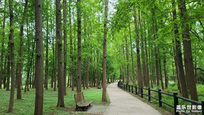 【帶著手機去旅行】雨后共青森林公園