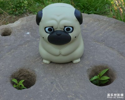 【帶著手機去旅行】巴扎黑的煩惱