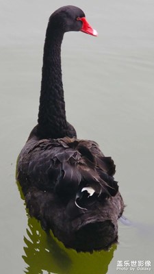 S22u記錄，北京海淀