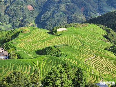 八月龍脊