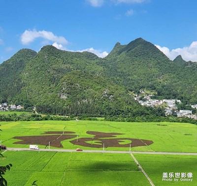 美好風(fēng)景！
